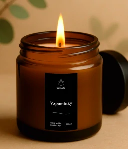 Vzpomínky